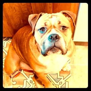 Meet your Posher, Charley